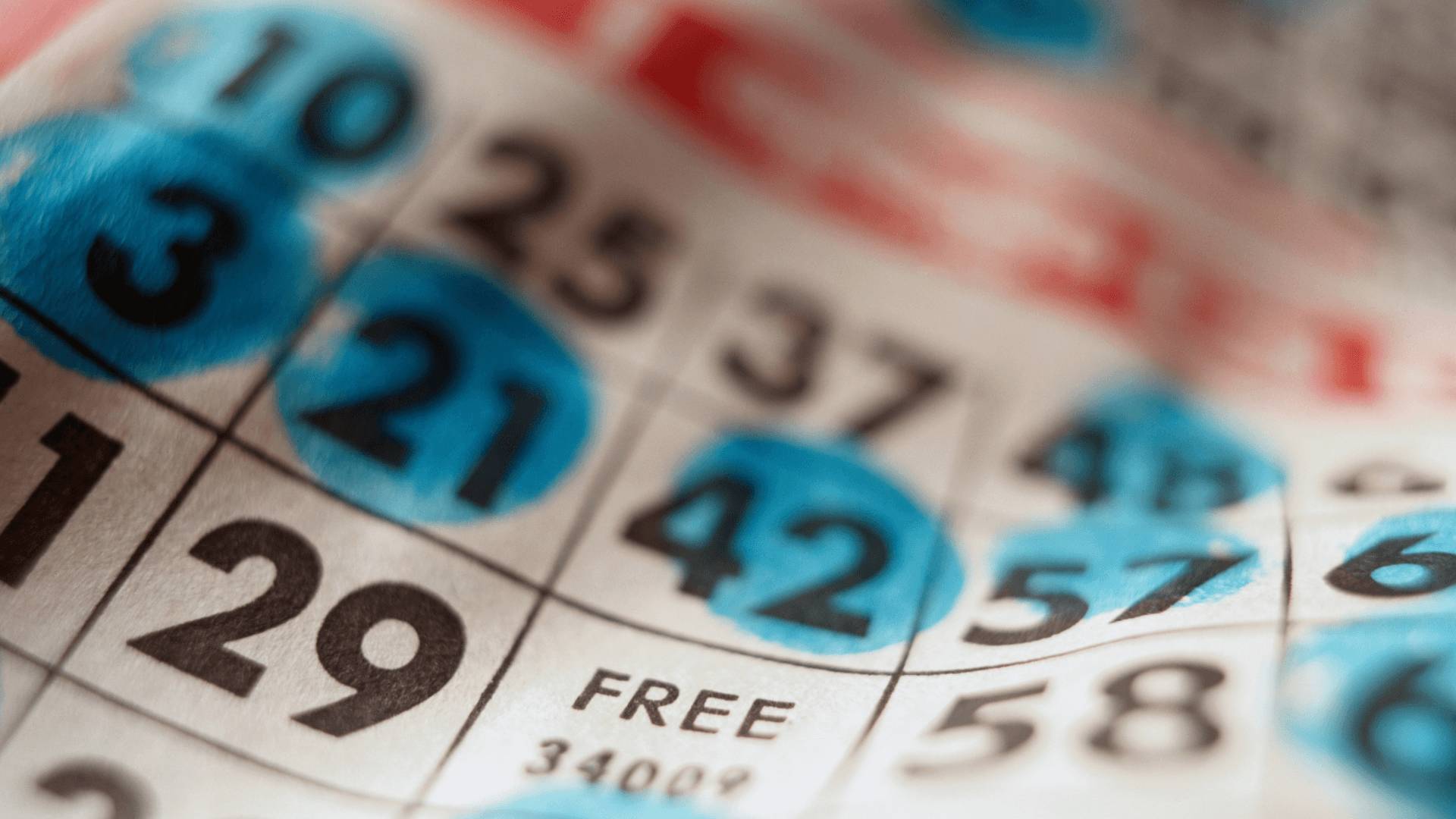 ऑनलाइन बिंगो कार्ड और कॉल के बारे में सब कुछ image